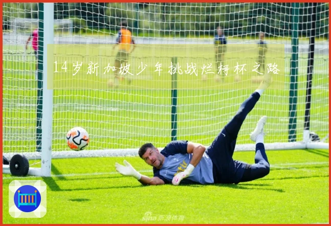14岁新加坡少年挑战烂柯杯之路