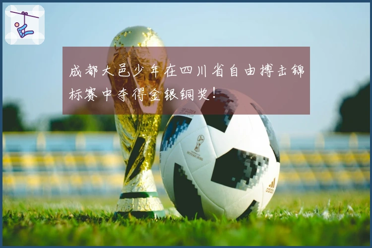 成都大邑少年在四川省自由搏击锦标赛中夺得金银铜奖！